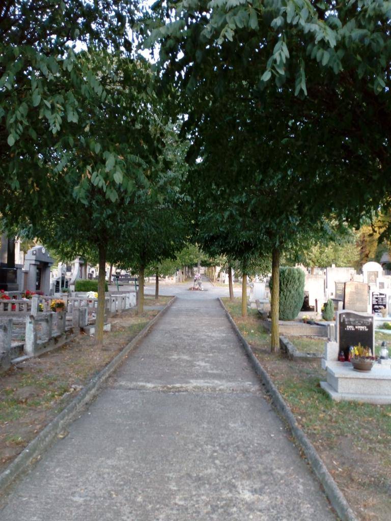 Vážení občané,  od čtvrtka 24.7. 2025 budou probíhat stavební práce na hřbitově. Jedná se o opravy stávajících hlavních cest. Dbejte tak prosím zvýšené opatrnosti. Děkujeme za pochopení