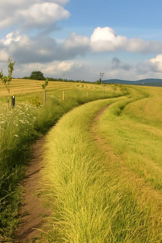 Nekořský špacír 26.7. 2025 start od 8 do 10 hodin na hřišti v Nekoři. Pouťové posezení pod lipami 2. - 3. srpna 2025 Nekoř u kostela start v 17 hodin.