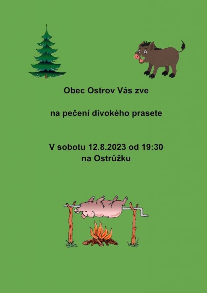 Pečení divokého prasete