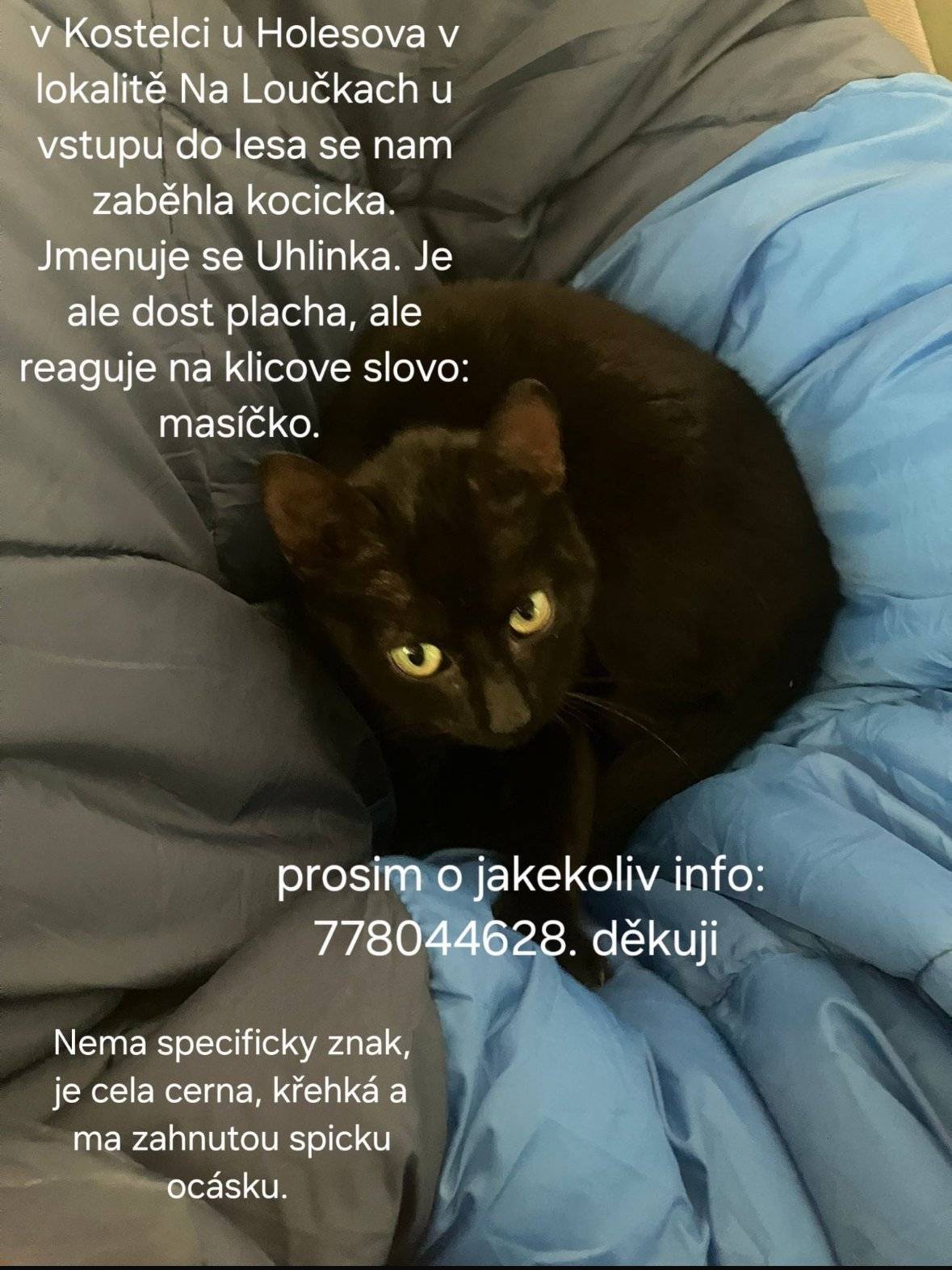 V Kostelci u Holešova se zaběhla kočka, viz.text na fotce.
