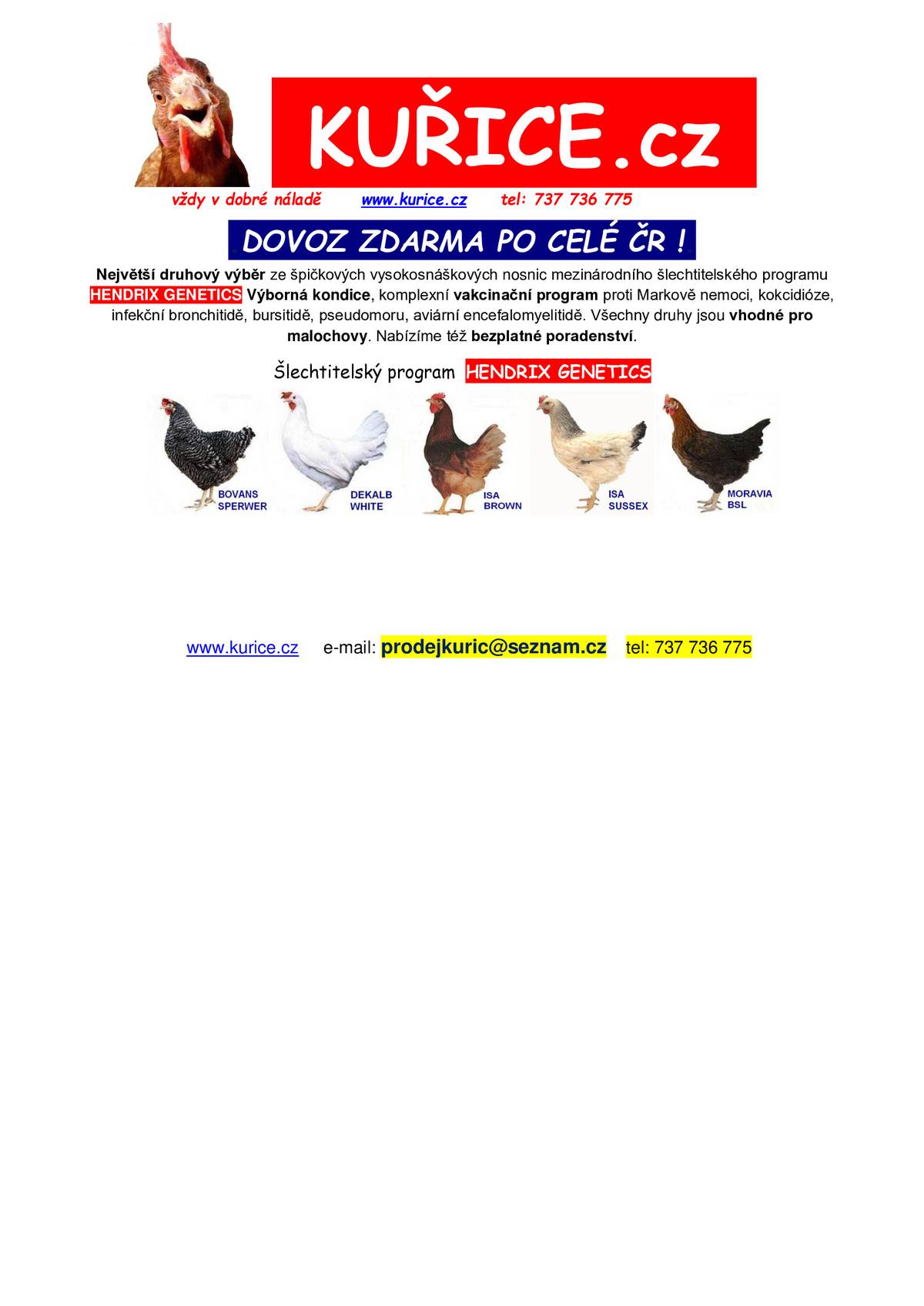 Dovoz kuřic po celé ČR - možno objednat na: kuřice.cz