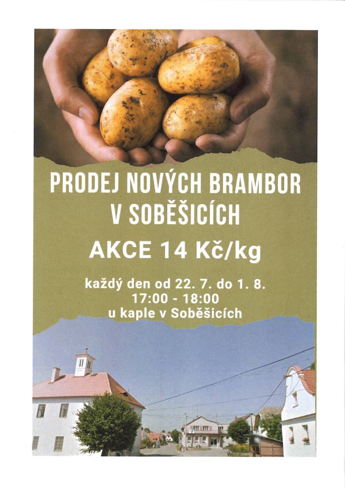 Prodej nových brambor v Soběšicích, akce 14 kč/kg.