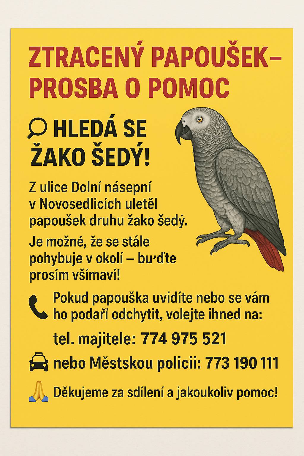 🔍 HLEDÁ SE ŽAKO ŠEDÝ! Z ulice Dolní násepní v Novosedlicích uletěl papoušek druhu Žako šedý. Je možné, že se stále pohybuje v okolí – buďte prosím všímaví!   📞 Pokud papouška uvidíte nebo se vám ho podaří odchytit, volejte ihned na: 📱 tel. majitele: 774 975 521 🚓 nebo Městskou policii: 773 190 111   🙏 Děkujeme za sdílení a jakoukoliv pomoc!
