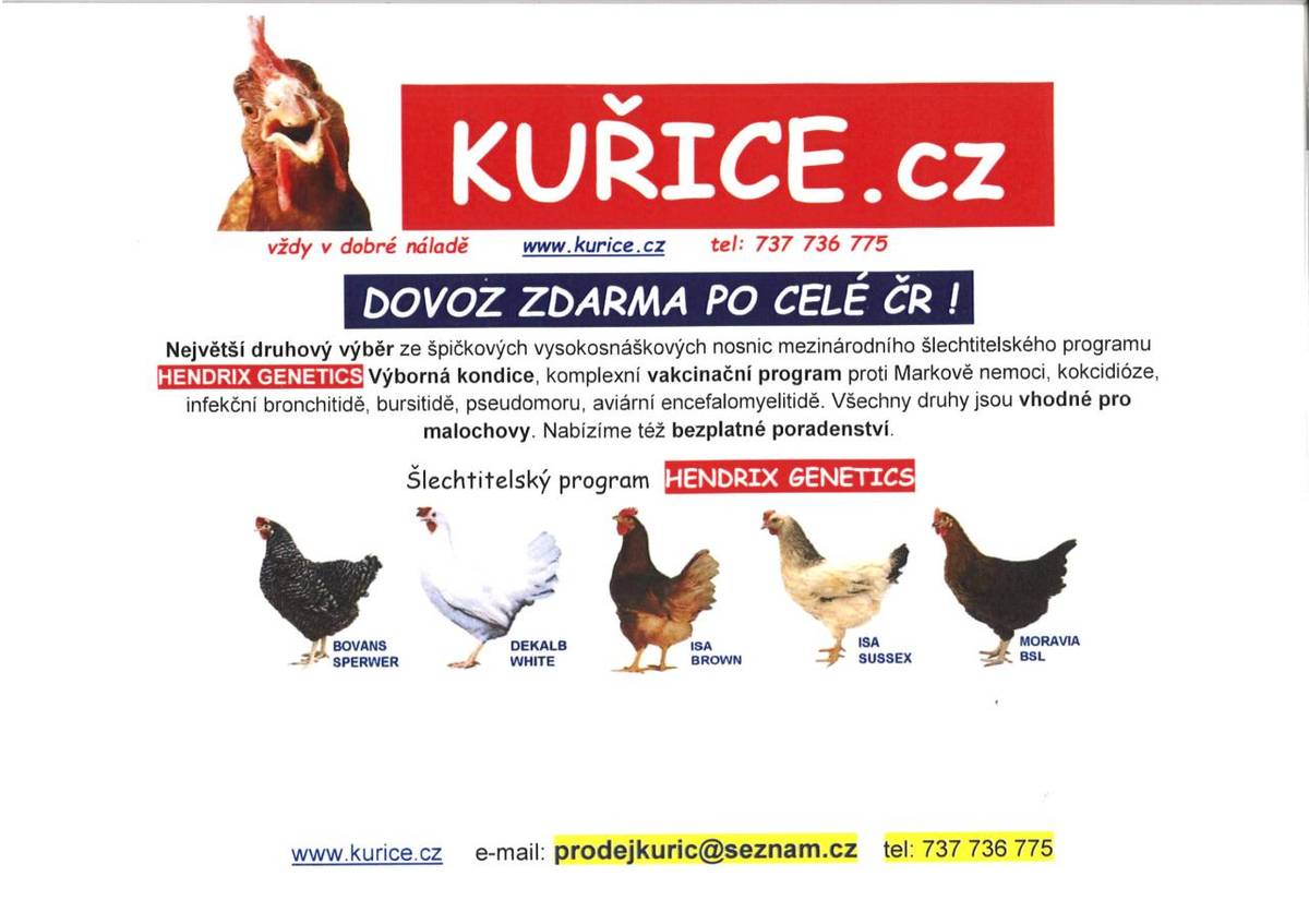 Nabízíme široký výběr vysokosnáškových nosnic s dovozem zdarma po celé ČR. Naše nosnice jsou vynikající kondice a podléhají komplexnímu vakcinačnímu programu. Objednat si můžete na tel. čísle 737 736 775 nebo na webu.