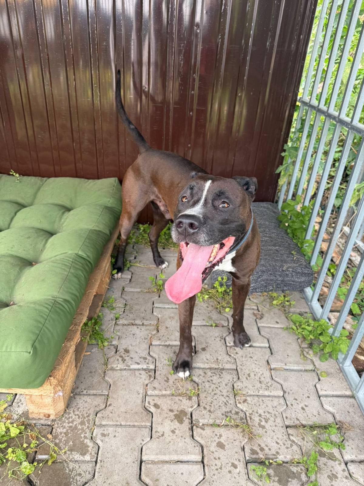 Pokud víte,volejte 724179530. Děkujeme