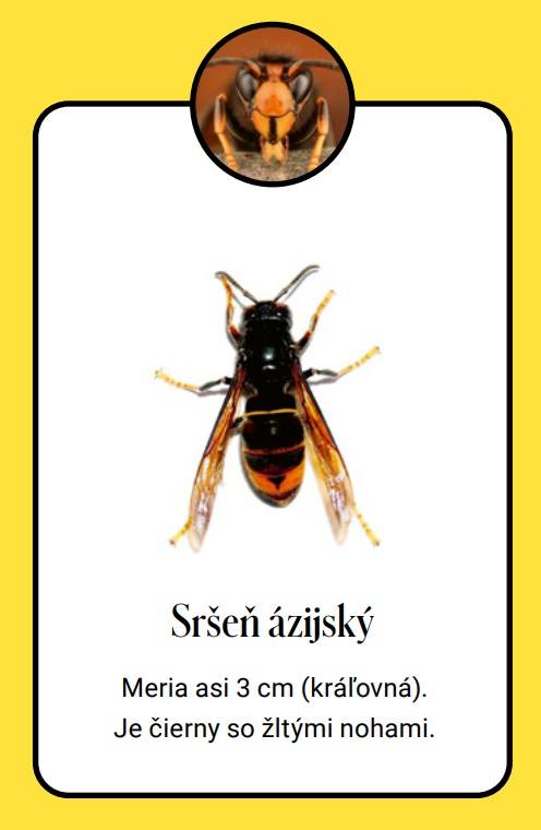 Problematika výskytu a šírenia invázneho druhu sršňa ázijského na území Slovenska - v septembri 2024 bol prvýkrát zaznamenaný výskyt tohto druhu v Palárikove v okrese Nové Zámky. Predstavuje vysokú hrozbu pre pôvodné druhy opeľovačov, vrátane včelstiev, keďže 80% potravy môžu tvoriť včely medonosné.