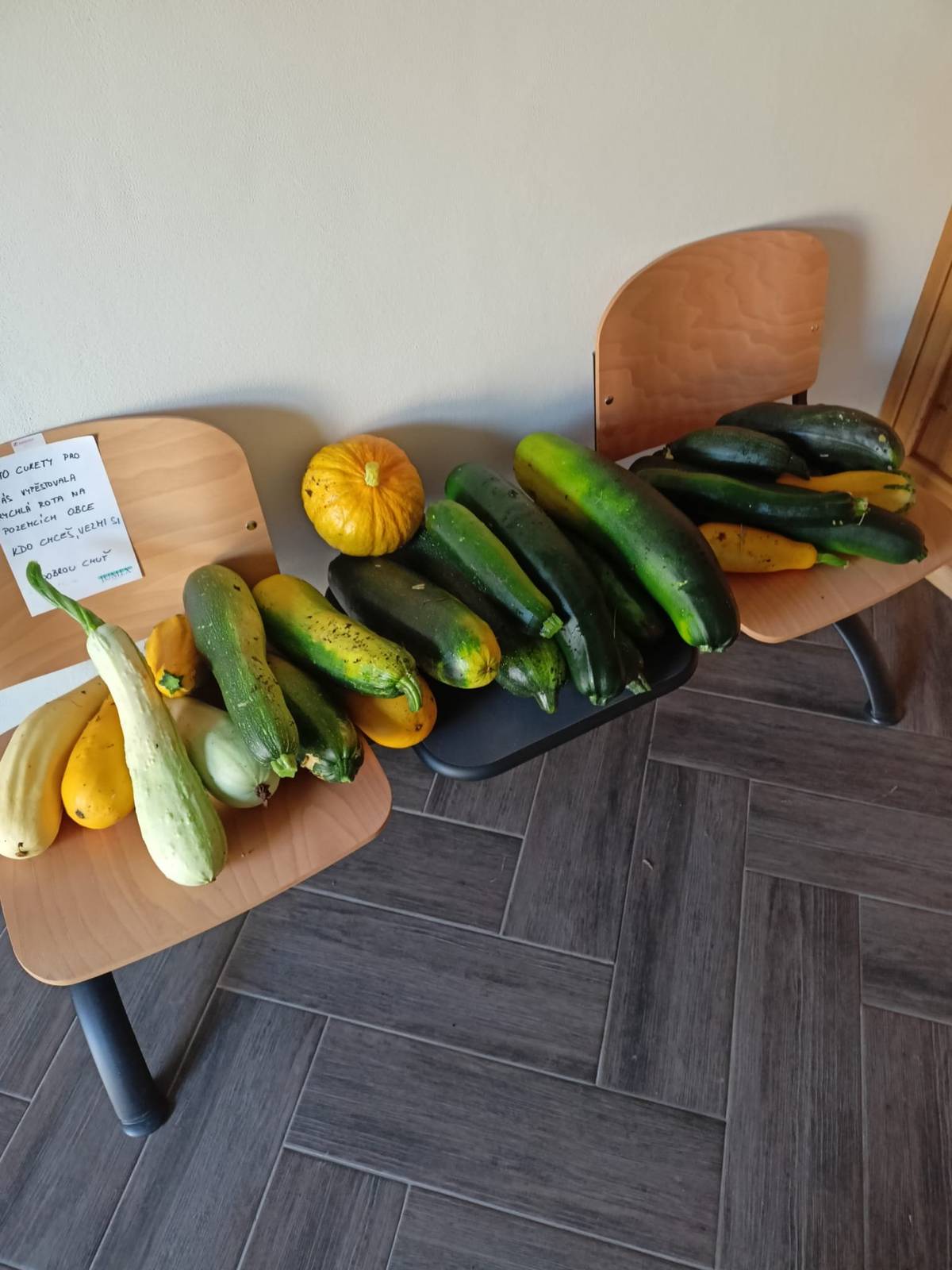 Zaměstnanci obce nabízejí občanům zdarma cukety z vlastní úrody. V případě zájmu se prosím přihlaste na obecním úřadě.