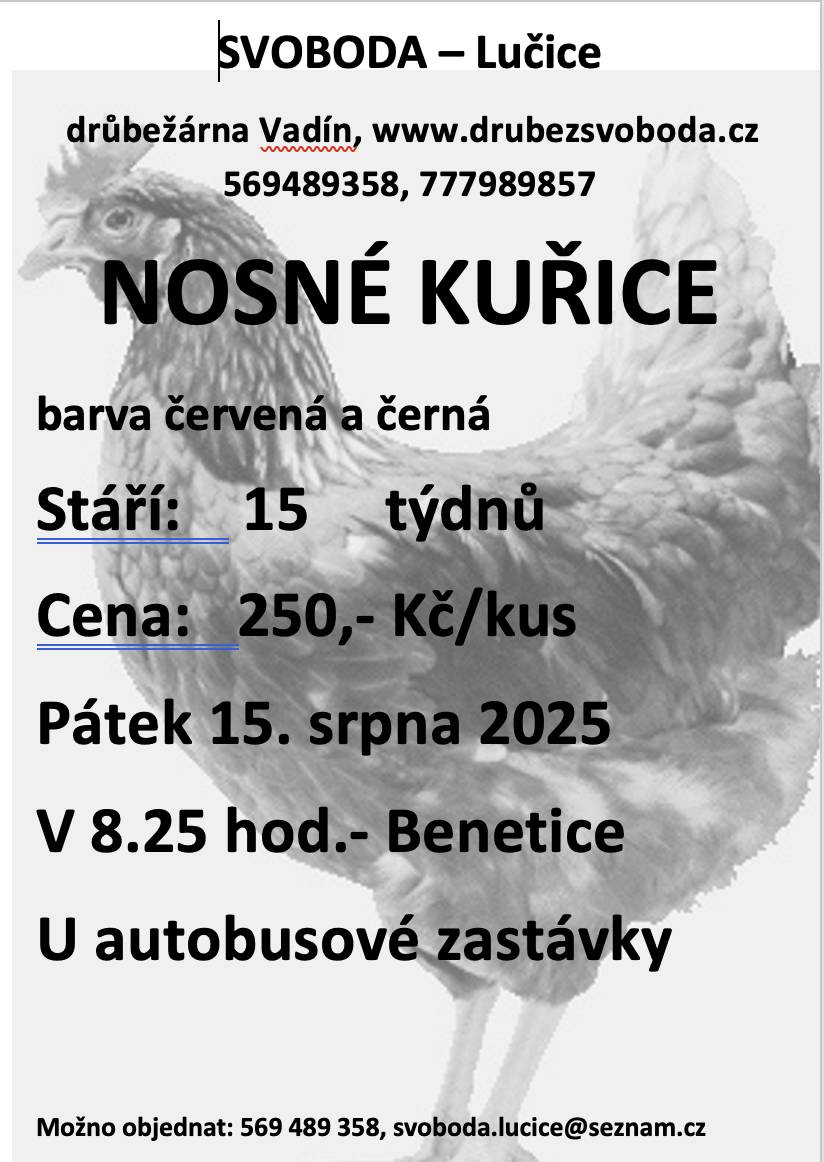 V pátek 15.8.2025 v 8:25 hod u autobusové zastávky v Beneticích.