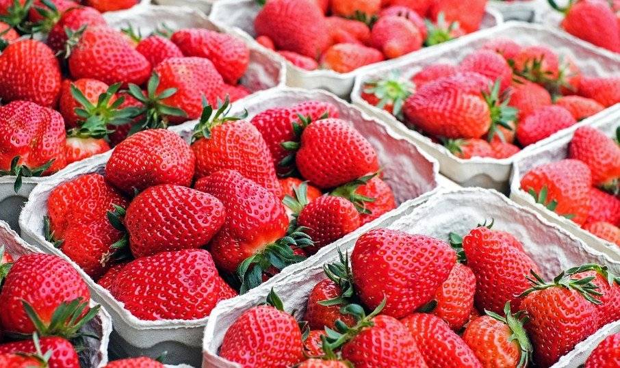 Vážení občané, dnes, ve čtvrtek 31.7. 2025 přijede prodejce z Blanska ve 13:30 na křižovatku. Prodej meruněk a jahod 1kg/79Kč, květák ks/39Kč, brambory 1kg/15Kč. Zdrží se 15 minut.