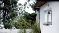 Galerie: Vytvoření intimity u bazénu