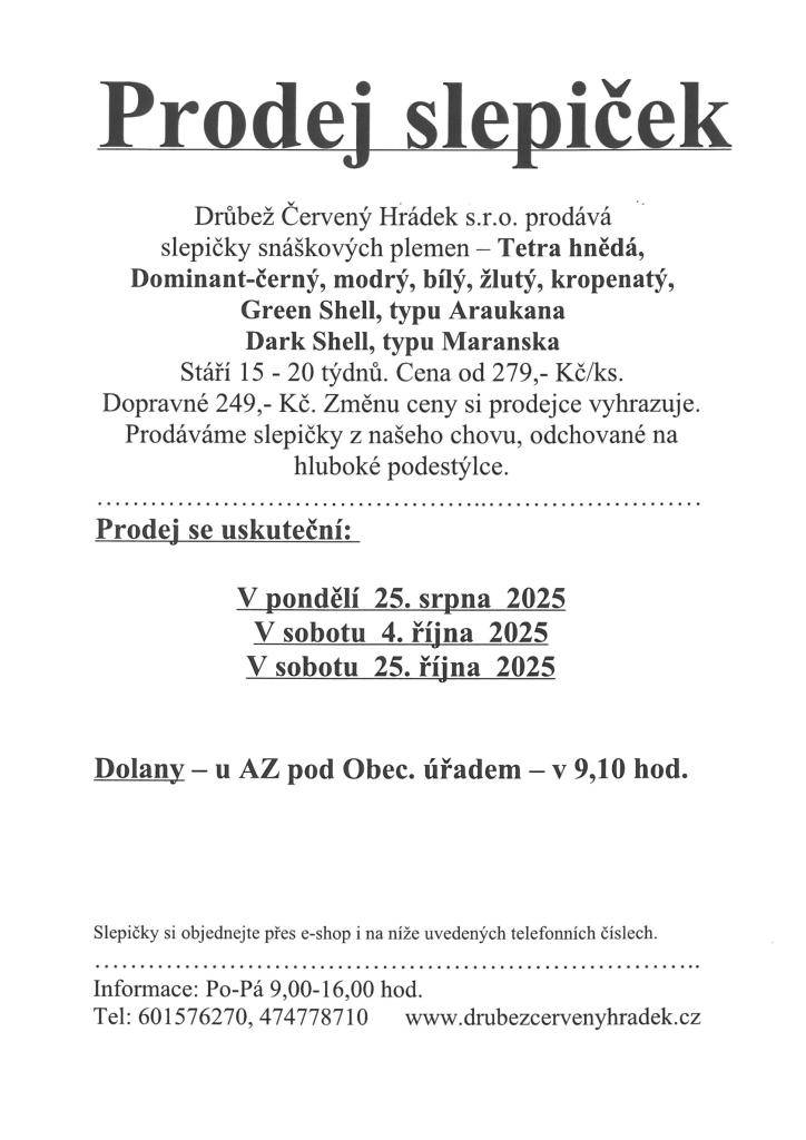 Drůbež Červený Hrádek s.r.o. prodává slepičky snáškových pleme