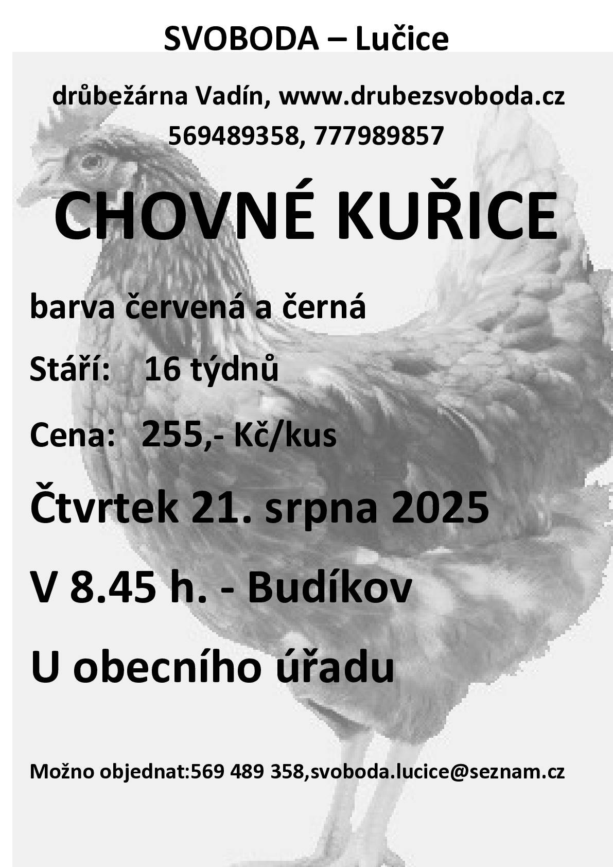 Prodej kuřic od fa. Svoboda - Lučice, 21.8.2025 od 8:45 hod. před OÚ. Kuřice - barva červená a černá, stáří 16 týdnů, cena 255,- Kč. Starosta