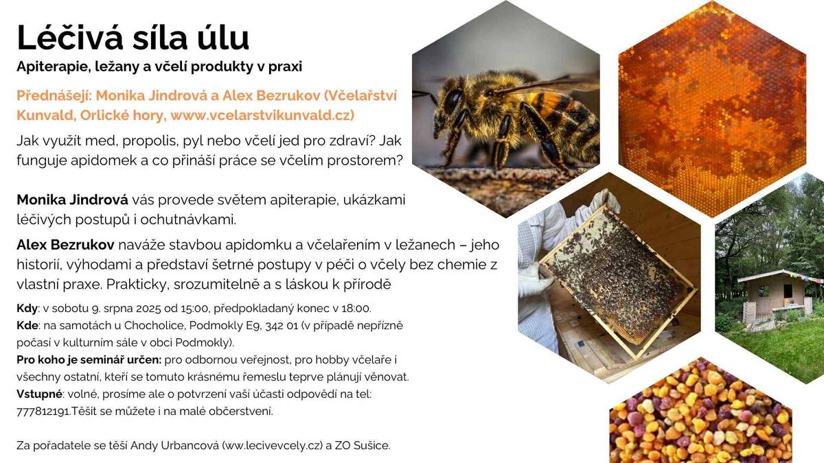 Včely 🐝 – malé zázraky přírody s obrovským významem. Přijďte odhalit jejich tajemství, poznat jejich svět a porozumět jejich důležité roli v našem životě.