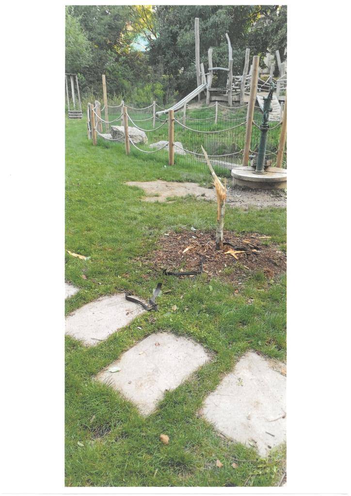 Vážení občané, z úterý 5.8. na středu 6.8. parta výrostků v nočních hodinách poničila vzrostlý strom na dětském hřišti na Veselské. Pokud jste si něčeho podezřelého všimli, volejte, prosím, OÚ Popůvky. Je smutné, že když se obec snaží něco hezkého vybudovat, tak to někteří z našich občanů zničí.