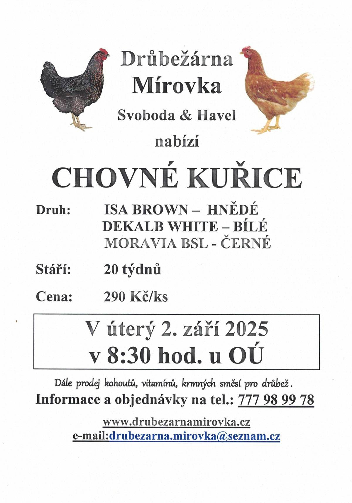 Dne 2. 9. před OÚ, bude probíhat prodej chovných kuřic, hnědé bílé, černé, stáří 20 týdnů, cena 290,- Kč /kus. Objednávky tel. 777 989 978.