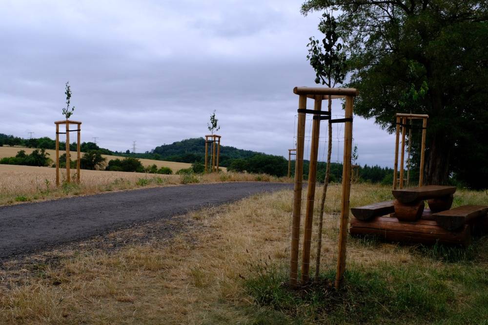 Na podzim loňského roku byla provedena nová výsadba alejových stromů na dvou polních cestách vedoucích ze Lhenic směrem k Ohníči. Jedná se o krajinotvorný projekt realizovaný v rámci Národního plánu obnovy ve spolupráci se Státním pozemkovým úřadem v Teplicích a obecním úřadem Bžany.