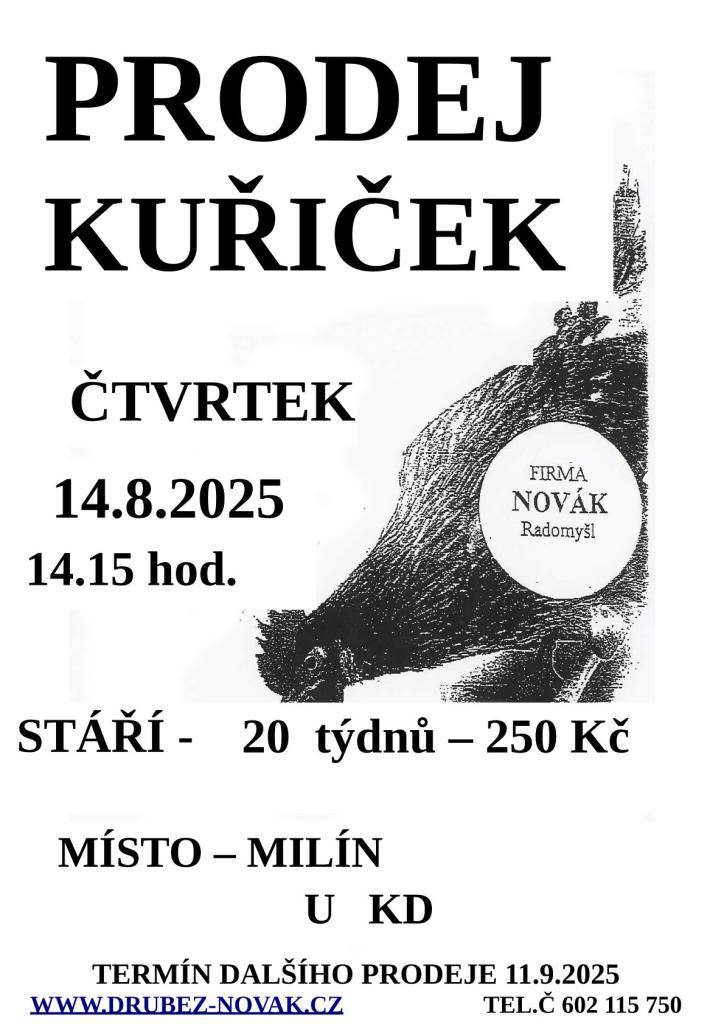 čtvrtek 14. srpna 2025 ve 14:15 u KD  Kuřičky jsou staré 20 týdnů a cena za kus je 250 Kč.   Další prodej proběhne 11. září 2025.