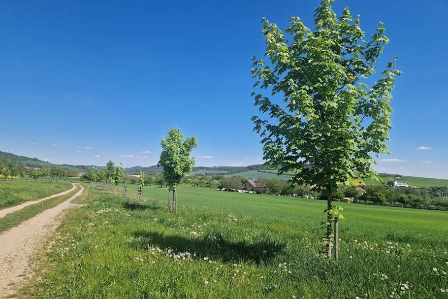 Drnovice bojují o rovnováhu krajiny! Občané Drnovic a celého blanenského okresu – náš projekt „Krajina v rovnováze“, který reprezentuje okres BLANSKO a na kterém už 5 let makáme, se dostal mezi TOP 10 v Jihomoravském kraji! HLASUJTE a ukažte, že to na BLANENSKU umíme! I když fotka v anketě není nejšťastnější, PROSÍME o váš hlas!  Sázení stromů pro občánky Remízky, rybník, zadržování vody Výsadby jarních květů a stromů  Díky za každý hlas! HLASUJTE ZDE