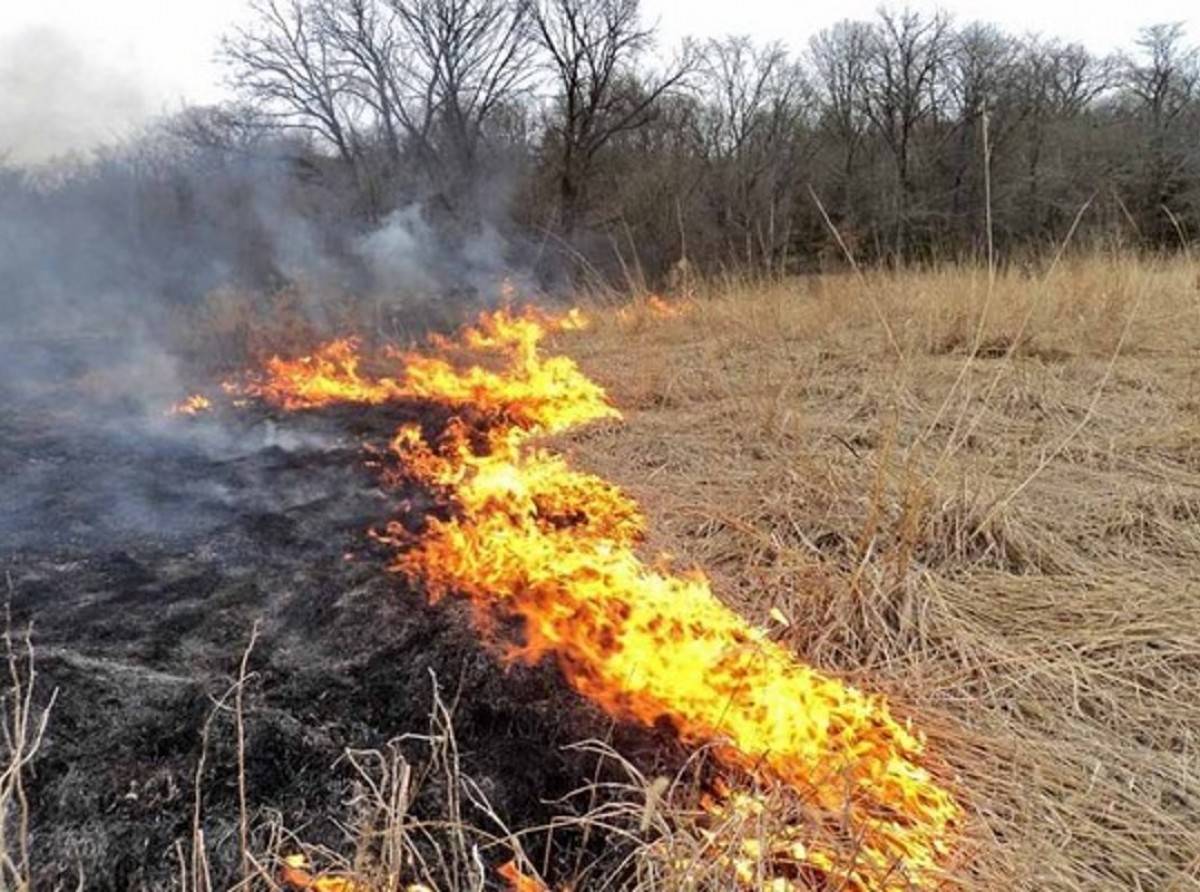 Okresné riaditeľstvo Hasičského a záchranného zboru v Partizánskom vyhlásilo čas zvýšeného nebezpečenstva vzniku požiaru na lesných pozemkoch a v ich ochrannom pásme od 13. augusta 2025. Toto opatrenie platí pre celé územie okresu Partizánske.