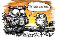 Sova před šichtou