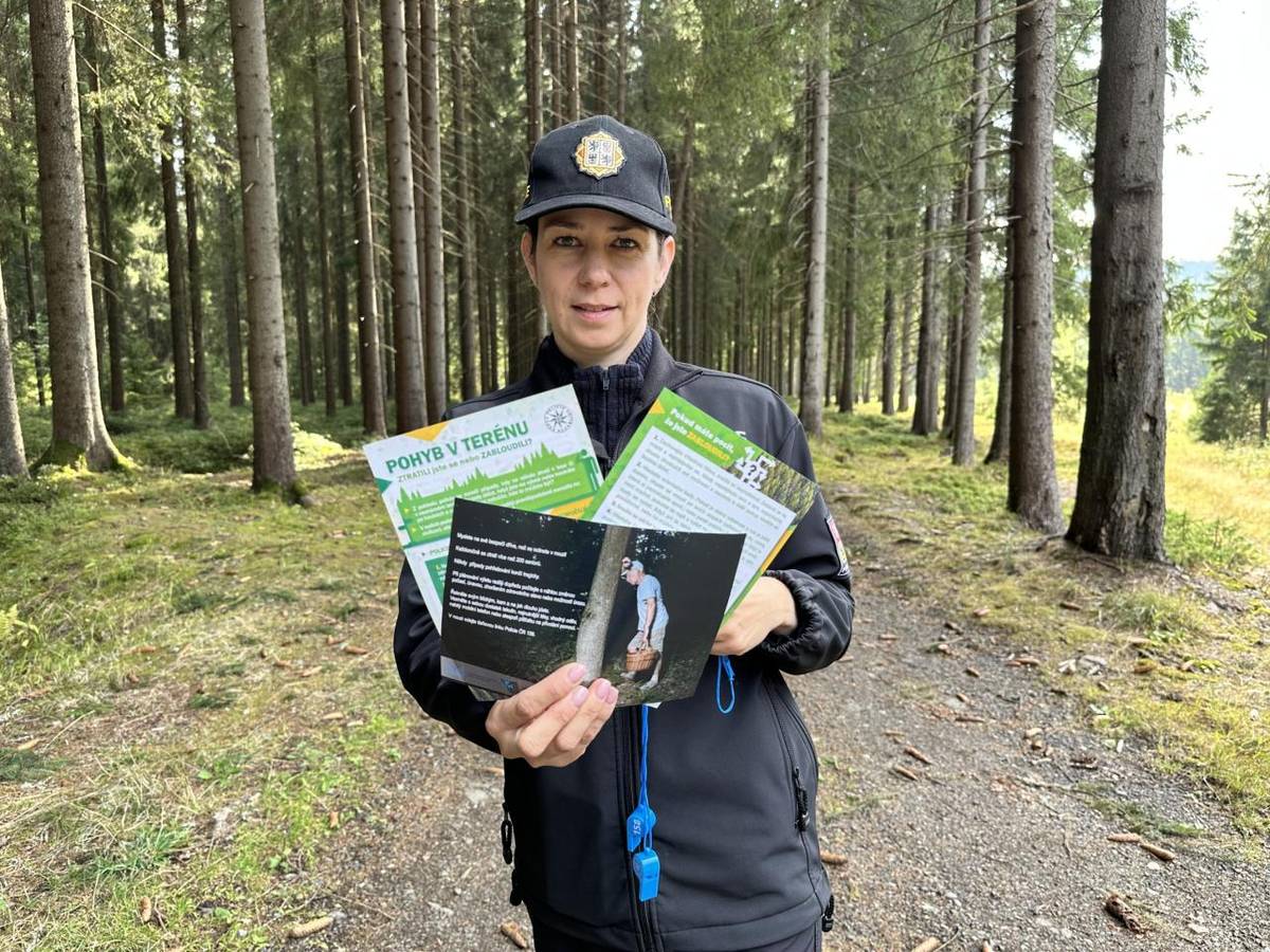 Bezpečně do lesa: rady pro houbaře i milovníky přírody