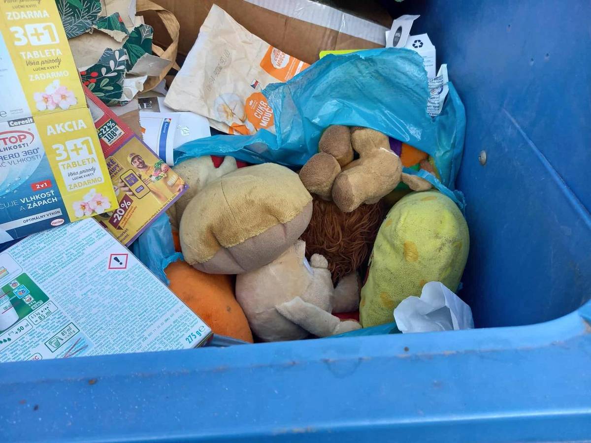 připadá vám někomu, že jsou ti plyšáci papíroví? Kdo neví, kam který odpad patří, do každého domu došla tabulka Jak třídit odpad. Minulý týden byl pytel s papírem v plastu.