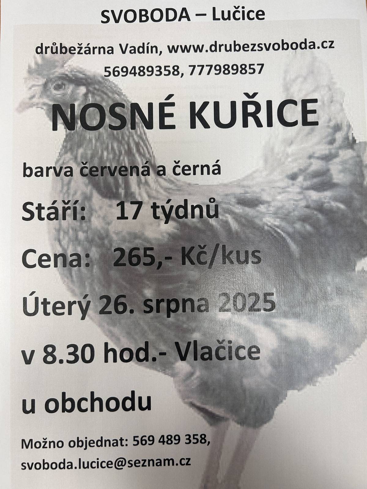 Svoboda-Lučice drůbežárná Vadín  Prodej nosných kuřic Barva červená a černá Stáří: 17 týdnů 265,- Kč/ks Úterý 26.8.2025 v 8:30  Vlačice u obchodu