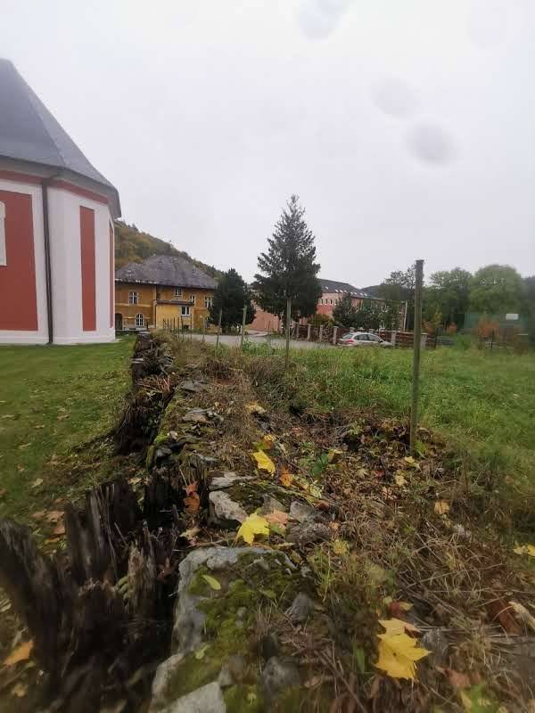 Každý kdo měl někdy cestu na hřbitov nebo do kostela, si vzpomene na to, jak v minulosti vypadalo prostranství mezi parkovištěm a kostelem. Rozpadlá kamenná zeď, náletové dřeviny a staré pařezy po vzrostlých stromech, vzhledná zeleň. Letos se konečně podařilo na opravu zdi získat dotaci z programu IROP a mohlo dojít k celkové opravě této nejvíce poškozené kulturní památky a úpravě prostoru kolem této památky. U ohradní zdi byl vytvořen okrasný záhon, který se skládá z hortenzií, šalvěje, okrasné trávy, třapatky, rozchodníku, tavolníku, mochny a dalších rostlin. Záhony realizovala Okrasná zahrada Osoblaha. A na výsledek se můžete podívat nejen na fotografiích, ale i osobní návštěvou tohoto nově upraveného místa.