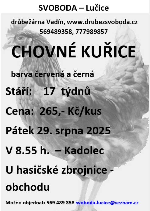 V pátek 29. srpna 2025 v 8.55 hodin u hasičské zbrojnice - obchodu                nosné kuřice, stáří 17 týdnů, cena 265,- Kč/kus    Objednání je možné na  tel. 569 489 358 nebo emailem svoboda.lucice@seznam.cz