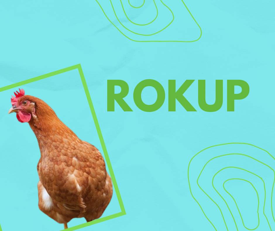 Soukromá firma ROKUP prodává v sobotu 23. 8. 2025 v 13:30 hod. u obecního úřadu nosné kuřice, vitamínové doplňky pro slepice a krmiva s vitamíny pro slepice i králíky 25 kg za 350 Kč.   Vykupujeme králičí kůže 15 Kč za kus.