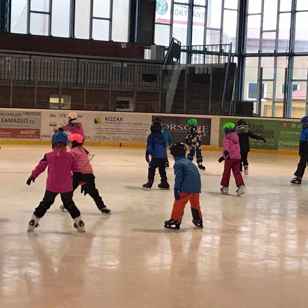 V pátek jsme zakončili letošní výcvik bruslení.
