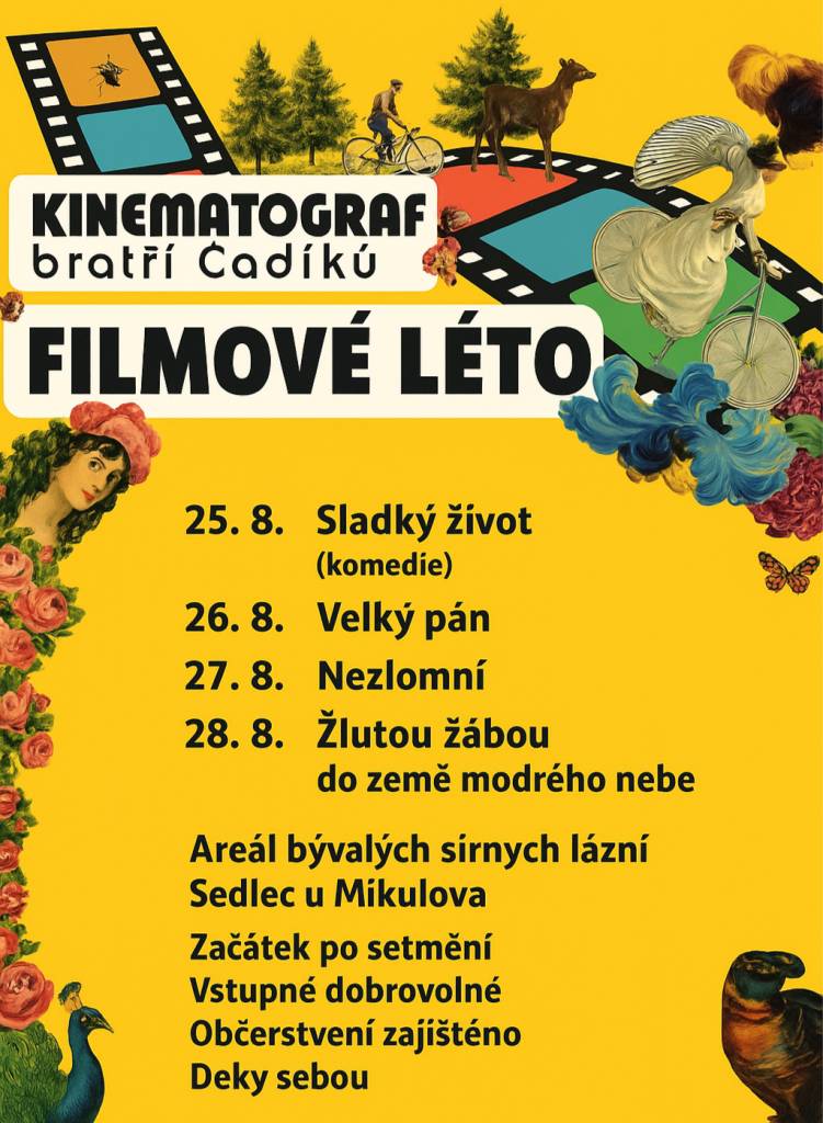 Data promítání a seznam po rozkliknutí