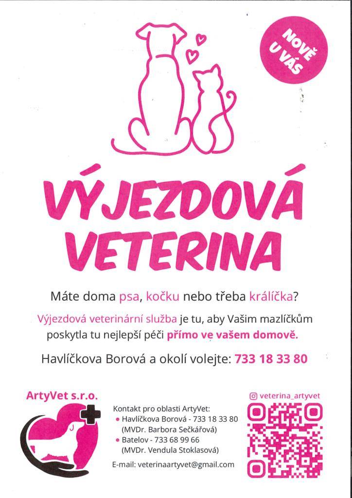Výjezdová veterinární služba poskytne Vašim mazlíčkům péči přímo ve vašem domově.