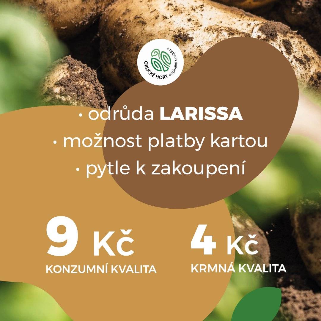 Farma Burian oznamuje samosběr brambor na poli mezi Černíkovicemi a Domašínem. Samosběr začne v úterý 2. září od 9.00 h do 17.00 h. Odrůda Larissa 9,-Kč/kg. Na místě bude možné zakoupit i pytle na brambory a lze platit platební kartou.