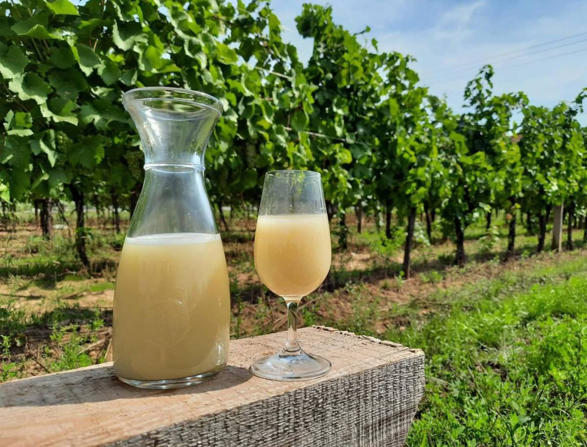 Vinařství Holánek přijede v sobotu (30.08.) s pojízdnou vinotékou. Tento týden přiveze bílý burčák za 100 Kč/l, vína sudová 80-90 Kč/litr, vína lahvová výběr z hroznů, pozdní sběr 150-250 Kč. Vinotéka bude stát od 18:20 - 18:30 u hospody.