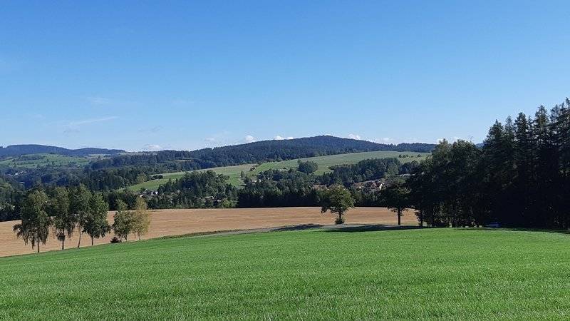 Myslivecké hody České Petrovice 30.8.2025 Pohádková cesta, Kavárnička v  zastávce, Dětské hřiště v parku 31.8.2025 Jednání zastupitelstva Obce Nekoř 2.9.2025 Kořala cup  6.9.2025