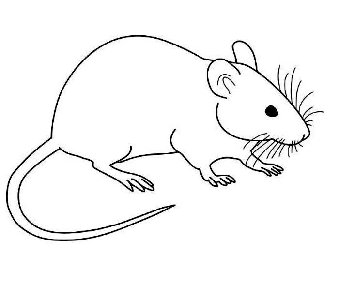 Městys Nový Rychnov oznamuje občanům, že od 15.09.2025 do 03.10.2025 probíhá v Novém Rychnově a všech místních částech pravidelná deratizace kanalizačních řádů. Návnady jsou umísťovány do kanalizačních šachet a nejsou viditelné. Dbejte zvýšené pozornosti na děti a domácí zvířata.