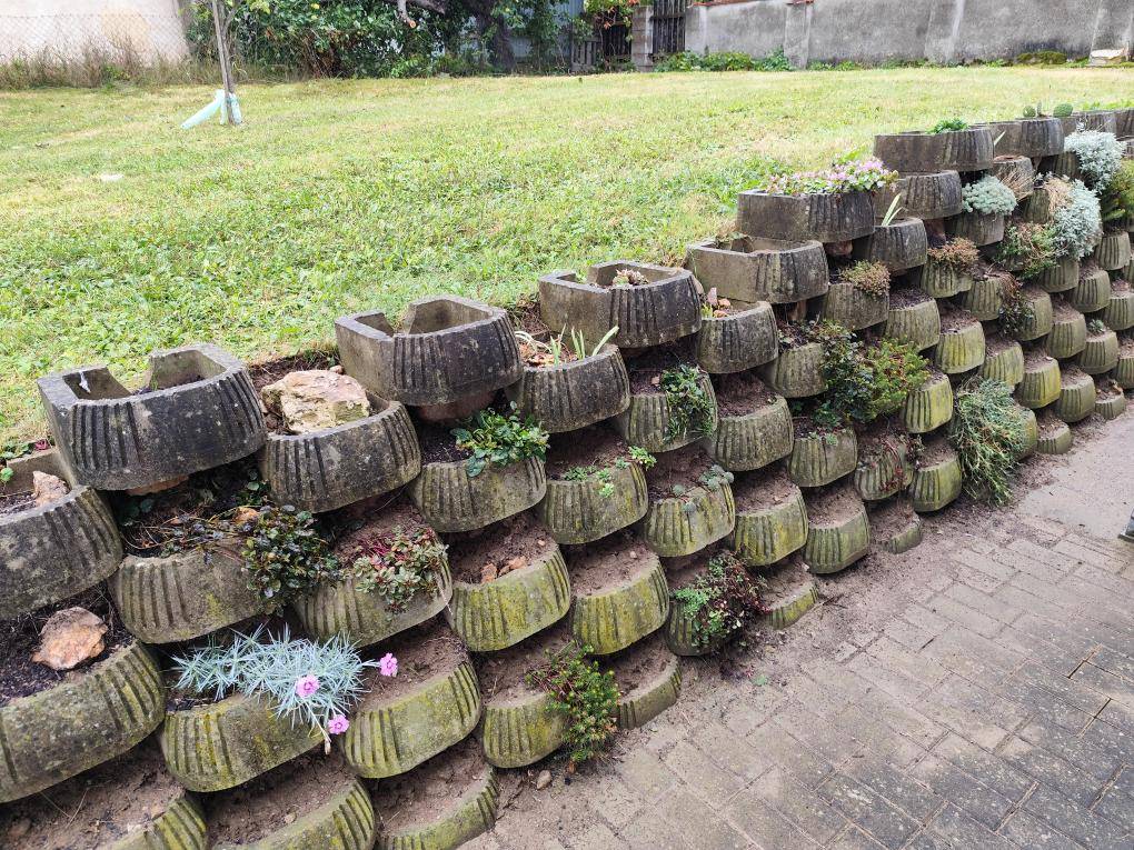 Vloni jsme nechali odplevelit svah za hasičárnou a vysázet skalničky - Simčo, moc díky za super práci!  Volných tvárnic je stále ještě dost a teď na podzim bude příhodná doba osadit další volná místa.  Máte doma přebytečnou skalničku nebo jinou vhodnou rostlinku? Zkusme každý nějakou přidat...