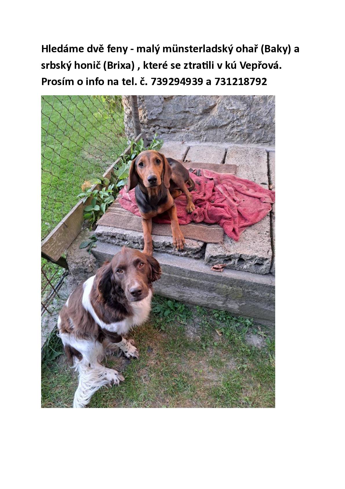 V obci Vepřová se v neděli ztratily dva psi. Info viz přiložený leták.