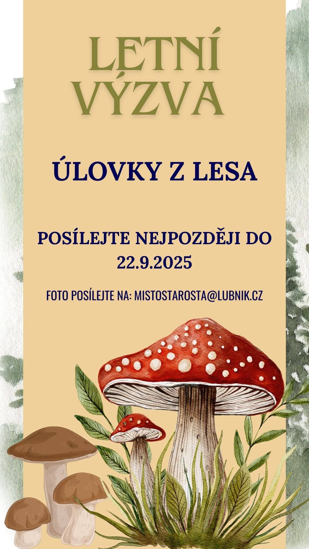 Léto pomalu končí, ale houbařská sezóna je v plném proudu! 🌲🍄Už jste narazili na praváky, křemenáče nebo jiné poklady lesa? Nezapomeňte se o svůj úlovek podělit! Pošlete nám fotografii a zapojte se do naší soutěže.