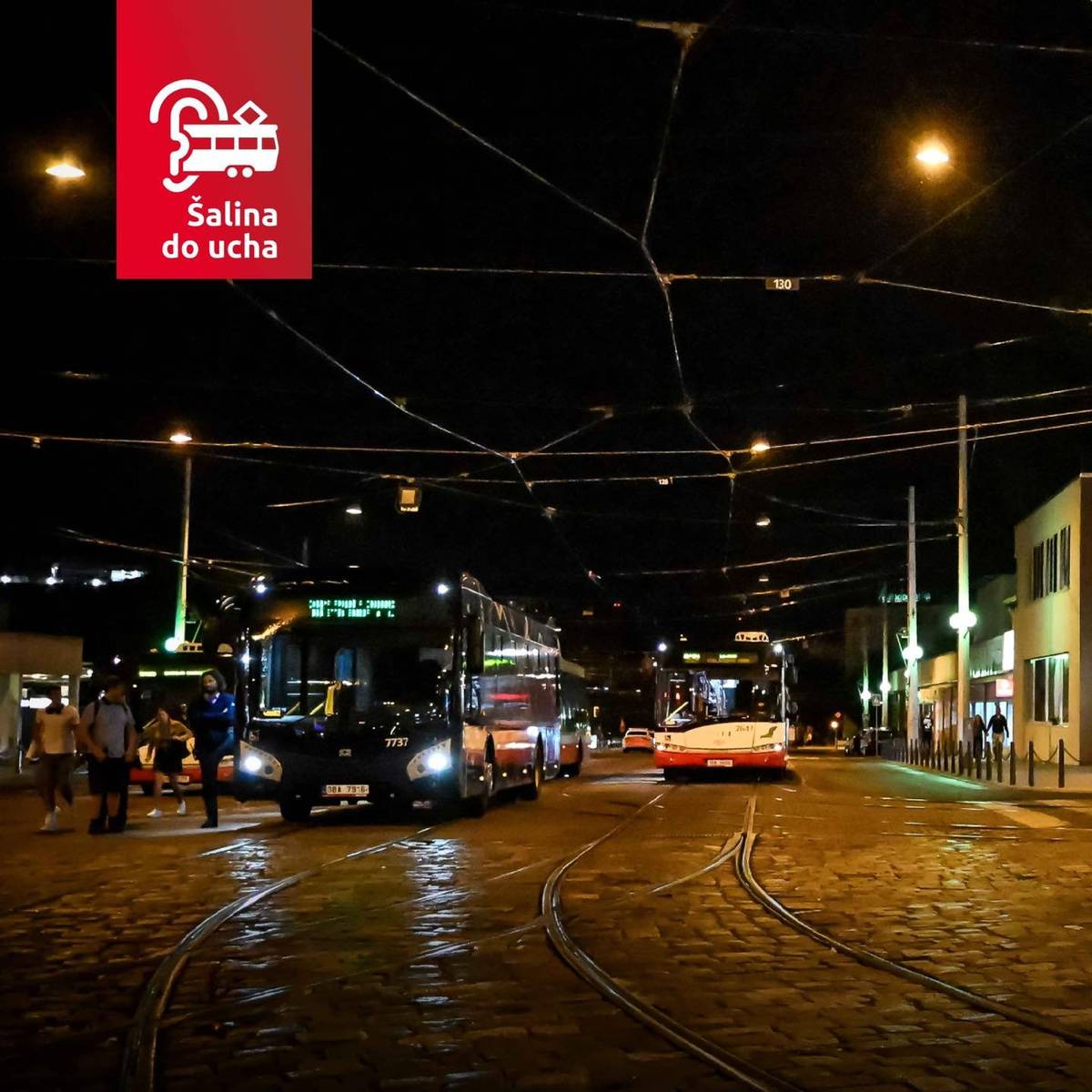 Noční doprava není ve městech nic ojedinělého. Brněnské rozjezdy však jsou v něčem unikátní - z jednoho místa se noc co noc sjíždí a rozjíždí 22 autobusů, aby převezly cestující do všech koutů města. Historie noční dopravy v Brně sahá do poloviny minulého století. Noční rozjezdy v současné podobě však slaví 25 let. Poslechněte si podcast Šalina do ucha s hromadou zajímavostí o jejich historii a provozu.   Dozvíte se například, proč se naši předchůdci báli upustit od noční tramvajové dopravy. Nebo to, jak se společný odjezd řídí. Nebo vás spíš zajímají veselé historky z nočních jízd? To vše v rozhovoru s Janem Seitlem, dopravním ředitelem DPMB.