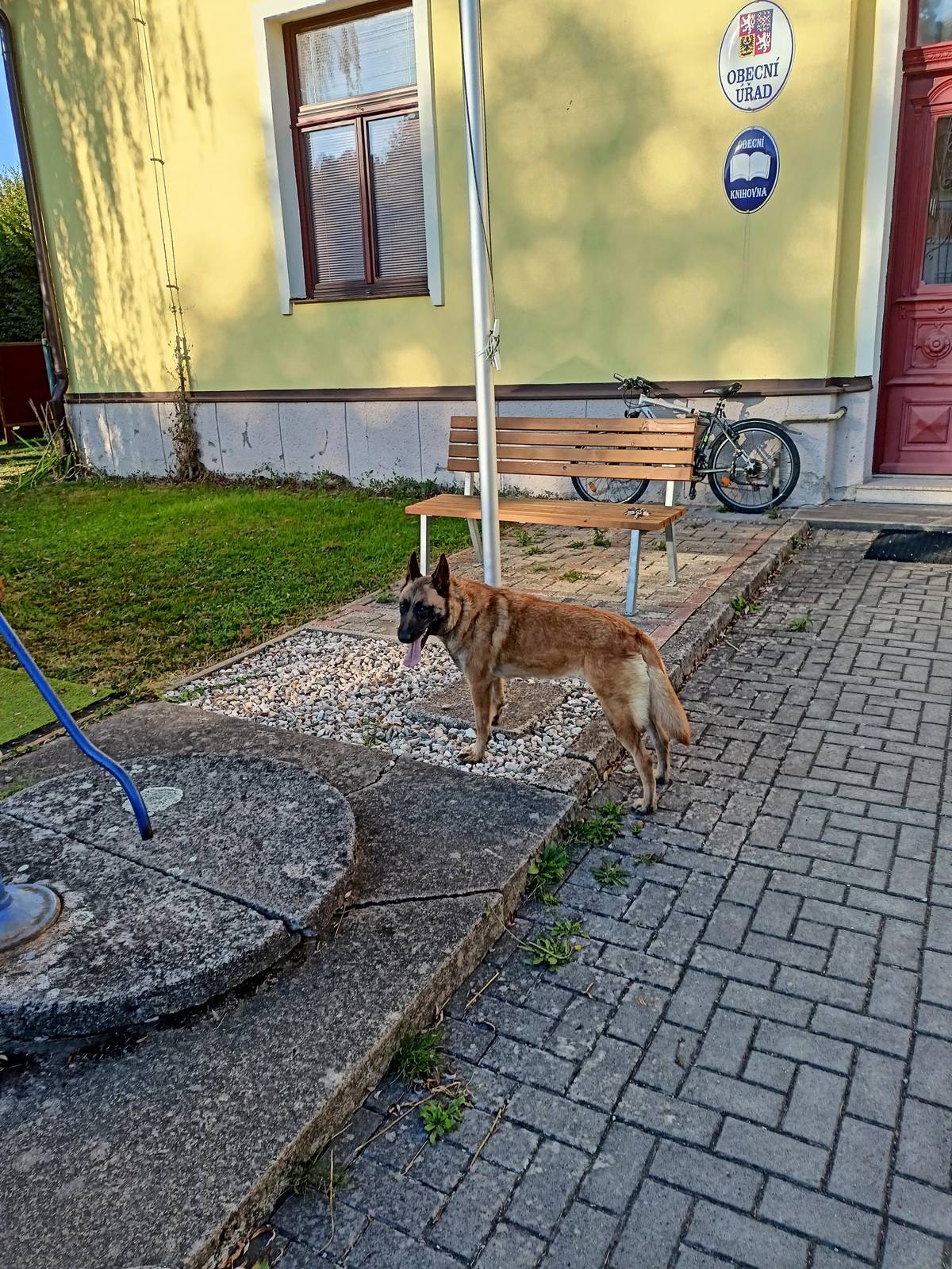 Ve čtv. 4.9.2025 byla ráno u prodejny Jednota odchycena fena belgického ovčáka, čip. číslo FDXB 900 215001730780. Obrázek v příloze. Majitel se může přihlásit na OÚ Zbraslavec tel. 720 623 886.