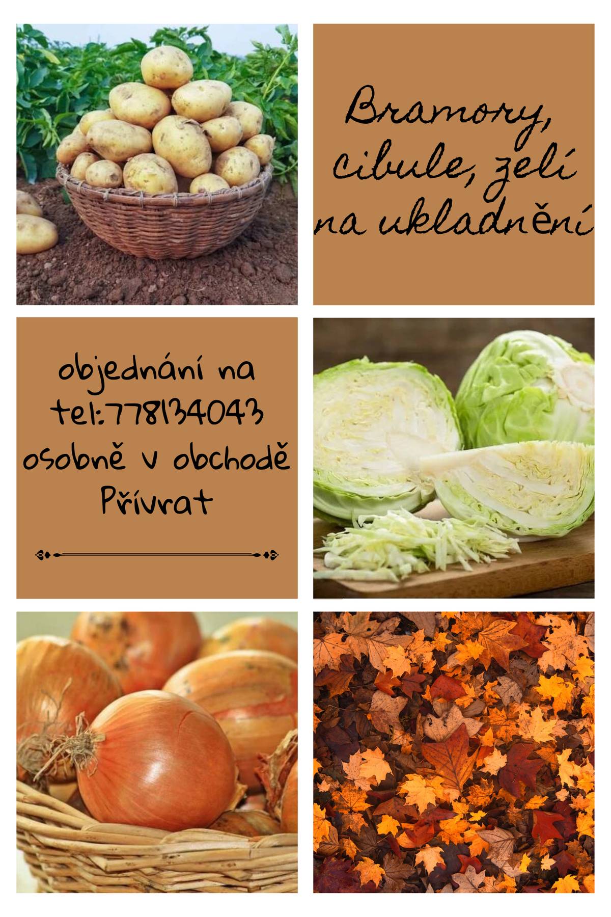 Místní obchod Přívrat přijímá objednávky na zelí, cibuli a brambory na uskladnění osobně v obchodě nebo na tel. čísle 778134043.