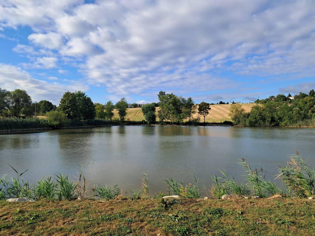 Ve dnech 13. a 20. září plánuje Myslivecké sdružení Křivá borovice na Žebětínském rybníku lov na kachny, a to vždy od 6:00 do 9:00. Dále 15. listopadu a 26. prosince proběhne hon na drobnou zvěř v čase od 8:00 do 15:00. Tento hon bude probíhat v lokalitách Troubské, Pod Borovníkem, Žebětínský rybník, Kamechy a Pekárna. Žádáme občany, aby v uvedených časech a místech dbali zvýšené opatrnosti a pokud možno se těmto oblastem vyhnuli.