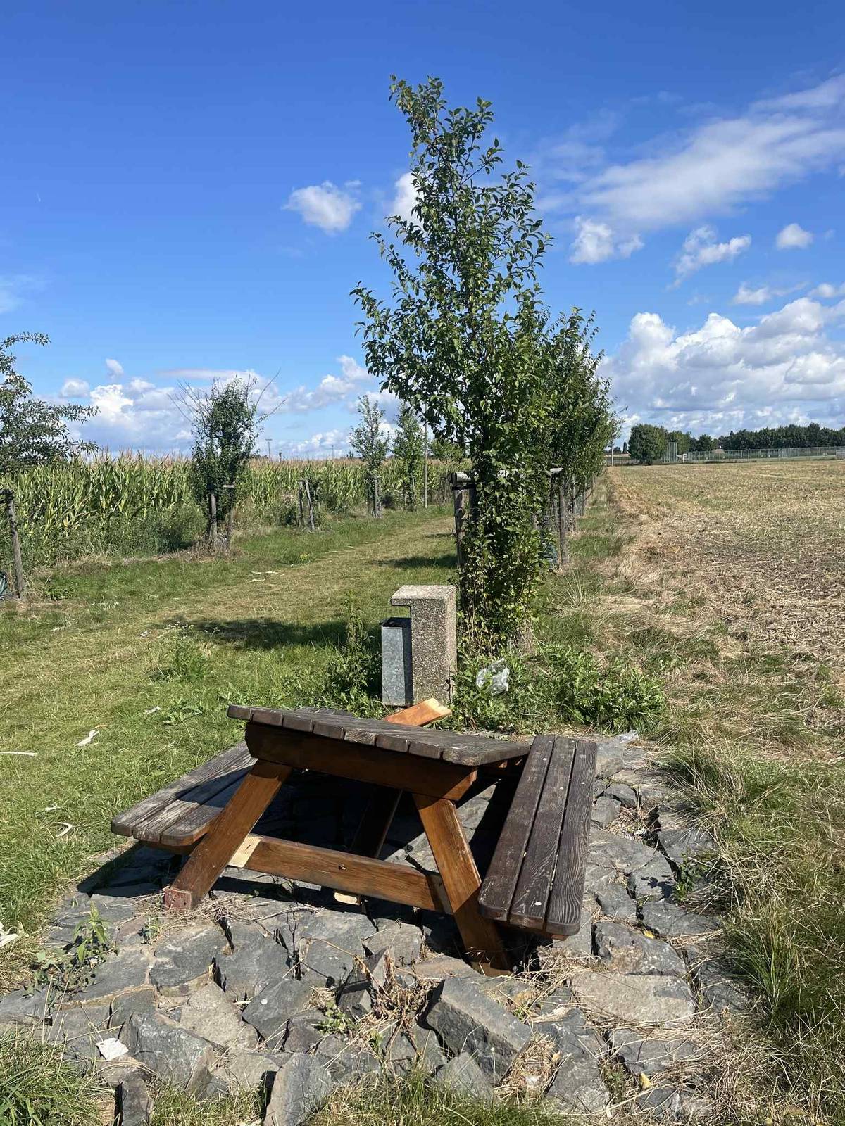 V posledních měsících se nám zde rozšířil takový nešvar, a to vandalismus, nepořádek a ničení veřejného prostoru. Vím, že tuto problematiku řeší všechna města, obce, spolky, ale pojďme si prosím vážit věcí kolem nás. Mohlo by se stát, že je již nebudeme opravovat, což by byla určitě škoda pro všechny ohleduplné spoluobčany.    Děkuji všem lidem, kteří si věcí váží a chovají se ke svému okolí zodpovědně.    S pozdravem Ing. Milan Karásek  starosta městyse Chotětov