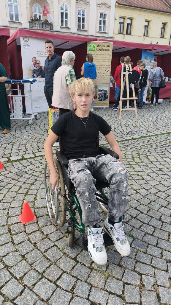 Den sociálních a zdravotních služeb nám dal možnost blíže se seznámit s organizacemi, které v našem regionu působí. Na Masarykově náměstí byl pro veřejnost připraven program, během kterého měli lidé možnost setkat se například se zástupci Nemocnice Rokycany, Ligy proti rakovině či Audiohelpu.