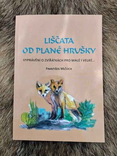 Liščata od plané hrušky Milí malí, ale i vy, zkušenější čtenáři, na stránkách knížky, kterou právě otevíráte, najdete vyprávění nejen o liškách, zajících, srnkách, ale také o stromech a o lidech, kteří mají rádi přírodu. Jsou tu rovněž básničky o zvířátkách, která běhají lesem, skáčou po polích a lukách, a když budete hodně pozorní – i doma na zahradě. A víte, kdo tato zvířátka často potkává? Myslivec. Ale pozor — myslivec není jen ten, kdo nosí zelený oděv a pušku na rameni. Praví myslivci musí vědět hodně o přírodě a zvěři a s láskou se o ně starat. Každá procházka lesem je pro ně příležitostí nejen k pozorování tohoto prostředí, ale také k řadě správných rozhodnutí. Musí vědět, jak les a jeho zvířecí obyvatele chránit, aby se jim zde dobře a hlavně bezpečně žilo. I sám autor této knihy je myslivec, který má především srdce na pravém místě. Umí naslouchat přírodě, vnímat její krásy, snaží se porozumět jazyku, kterým příroda mluví, a váží si každého živého tvora v ní. Až vy sami budete v přírodě, chovejte se k ní, prosím, s respektem atak, aby se zvířátka, která žijí všude kolem nás, cítila dobře a bezpečně. Třeba po přečtení pár kapitol i vy sami zjistíte, že můžete být malými ochránci přírody. Stačí pozorovat znamení, která nám dává, nechat se od ní učit a nezapomínat, že každý živý tvor zde má své místo a svůj příběh. Tak se hezky usaďte a pojďme společně vstoupit do lesa na výpravu za zvířátky, zaposlouchat se do šumění stromů, bublání potůčků a švitoření ptáčků — možná objevíme něco víc než jen historky psané v této knize. Protože při každé procházce přírodou člověk obdrží mnohem víc, než hledá. Vaše Červená Karkulka (František Mlčoch)