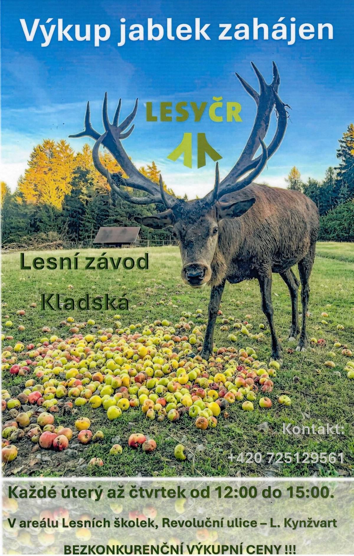 Vážení občané, pokud by jste nevěděli co s jablky, Lesy ČR zahájily jejich výkup. S pozdravem, OÚ Odrava