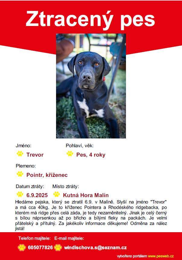 Hledá se pes - kříženec Pointera a Ridgebacka, který se ztratil 6.9.2025 (z Malína). V případě, že byste někdo psa poznal, kontaktujte, prosím, majitelku na telefonním čísle uvedeném v letáku.