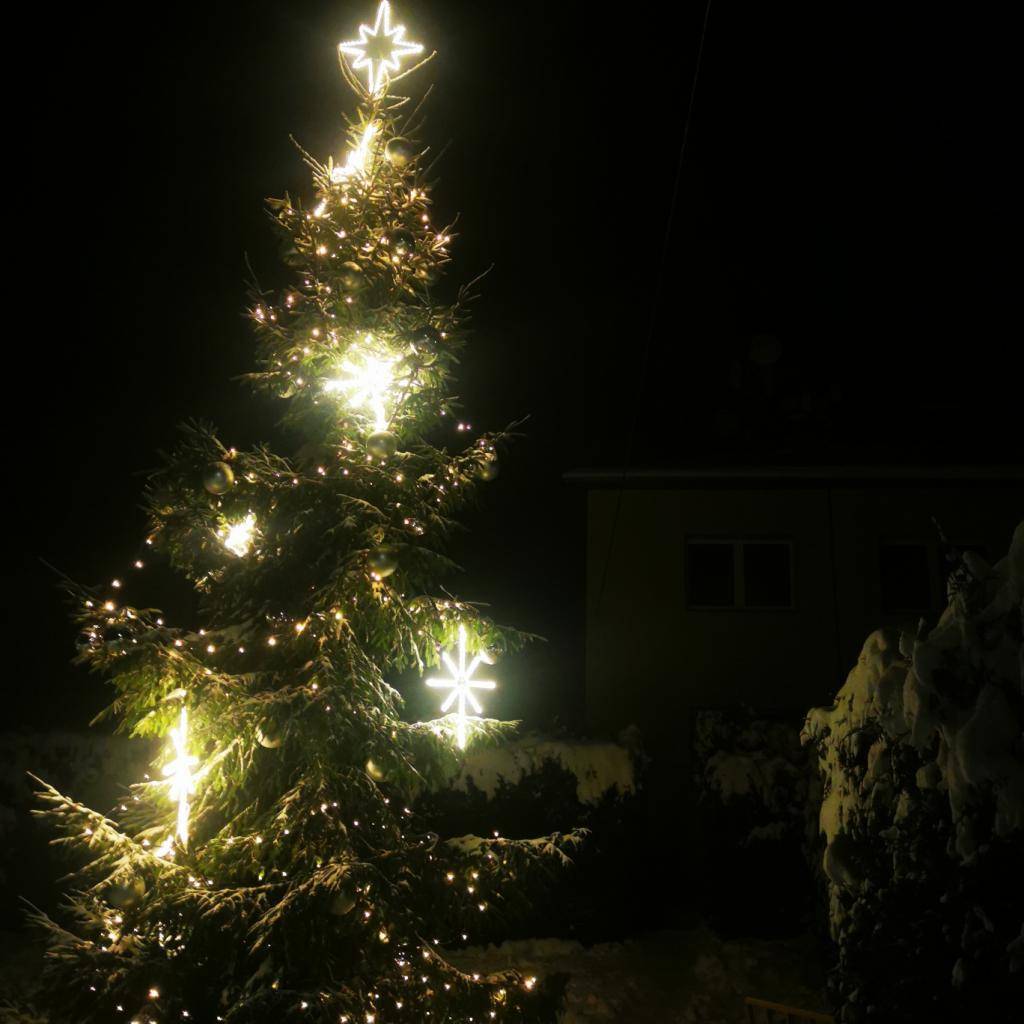 Milí občané,  blíží se čas Vánoc a naše obec hledá vhodný strom, který ozdobí náves. Pokud máte na své zahradě jehličnan, který se chystáte pokácet, budeme rádi, když nám ho darujete. Váš strom tak může potěšit celou obec a rozzářit letošní adventní období.